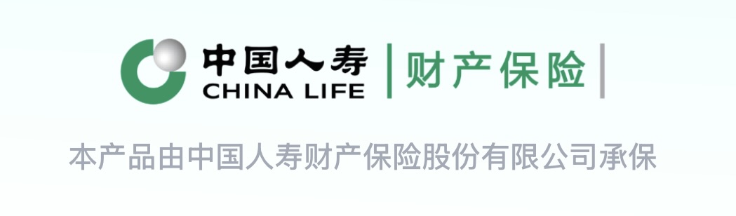 中国人寿财险